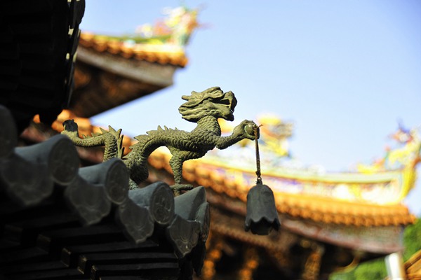 我做梦都是蛇 我做梦都是蛇怎么回事？